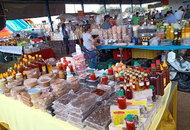 Captura de tela 2025-06-25 090353